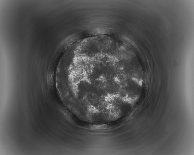 X0000086270410200704191929