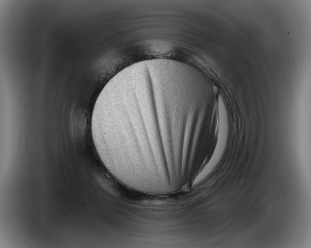 X0000086270412200704191929