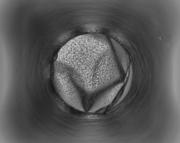 X0000086270413200704191929