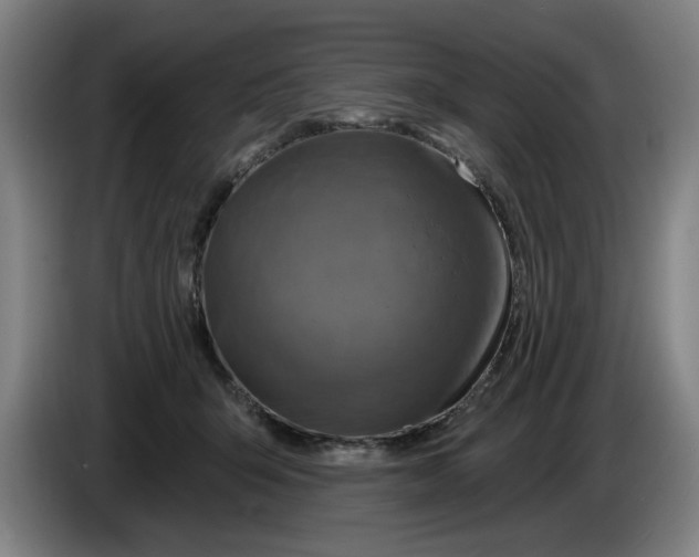 X0000086270415200704191929