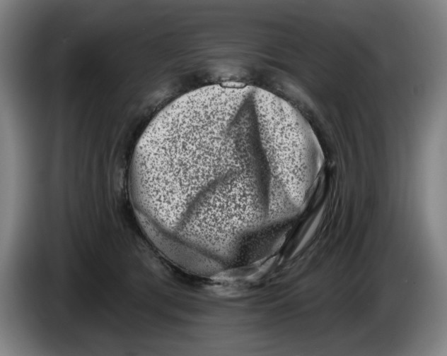 X0000086270417200704191929