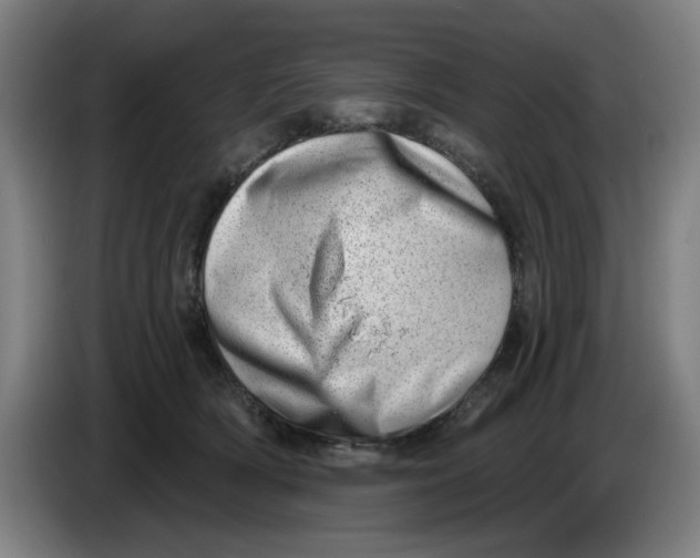 X0000086270418200704191929