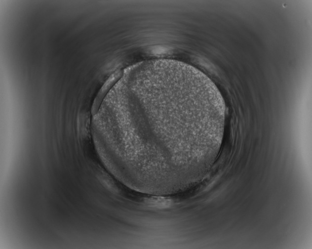 X0000086270421200704191929