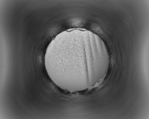 X0000086270424200704191929