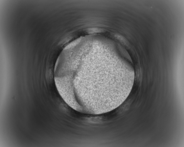 X0000086270426200704191929