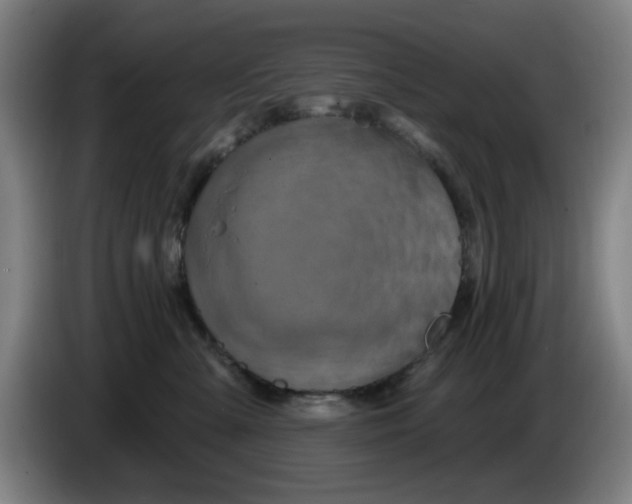 X0000086270427200704191929