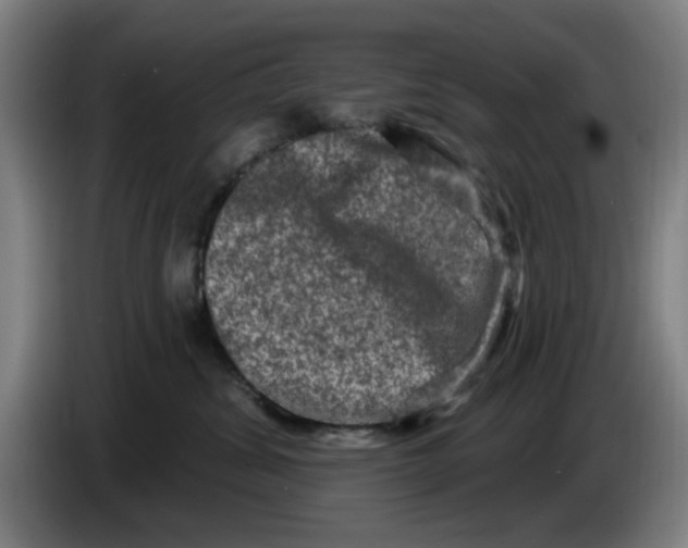 X0000086270428200704191929