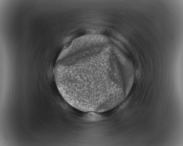 X0000086270429200704191929