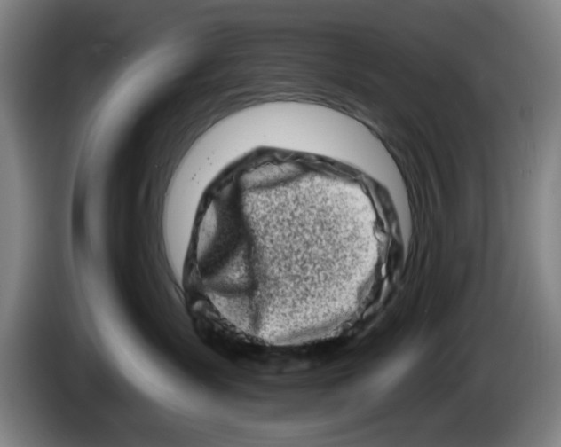 X0000086270431200704191929