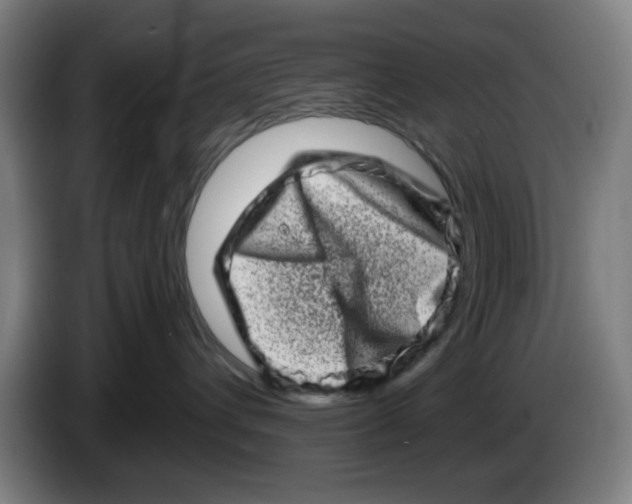 X0000086270432200704191929