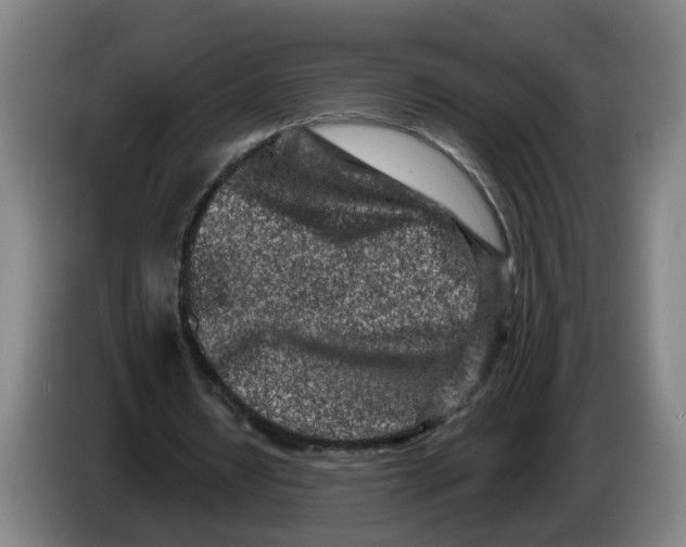 X0000086270434200704191928