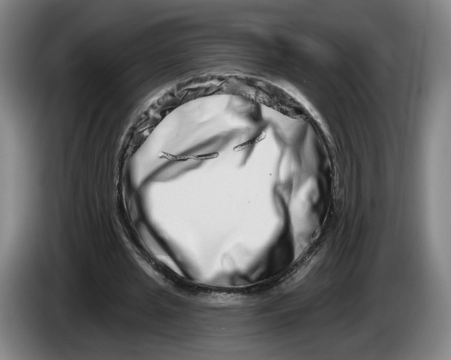 X0000086270437200704191928