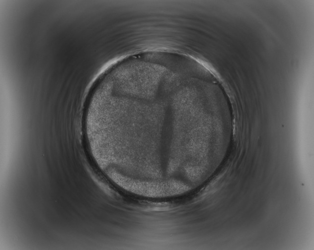 X0000086270438200704191928