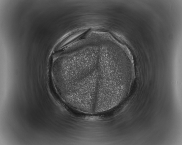 X0000086270440200704191928