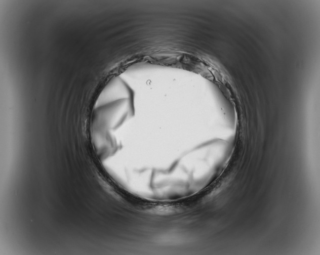 X0000086270441200704191928