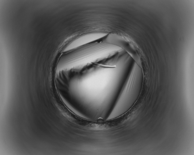 X0000086270442200704191928