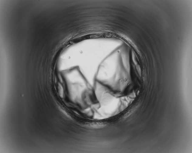 X0000086270445200704191928