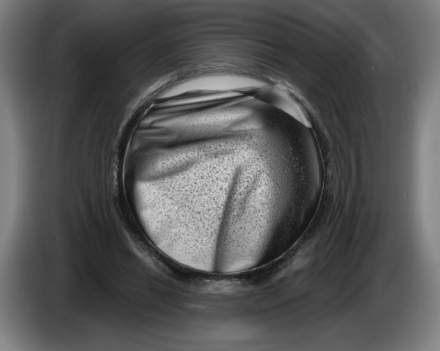 X0000086270446200704191928