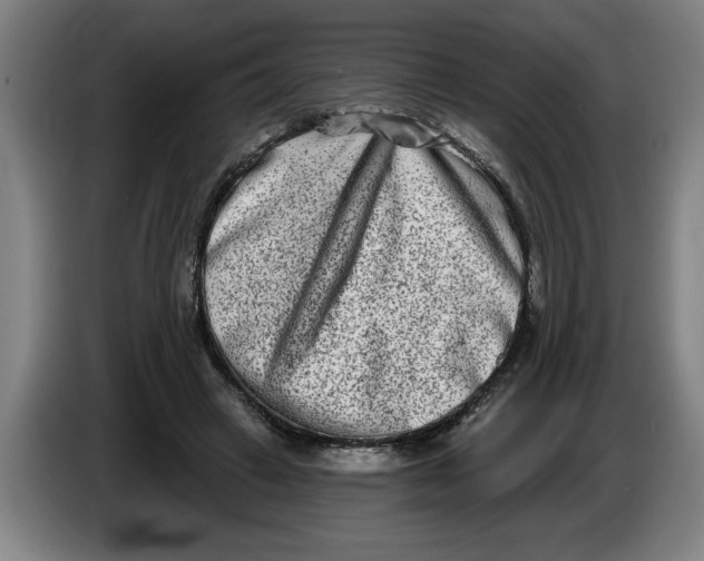 X0000086270449200704191928