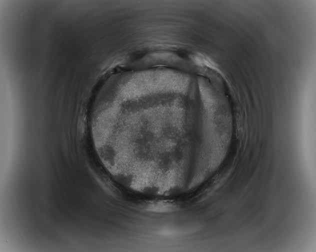 X0000086270451200704191928