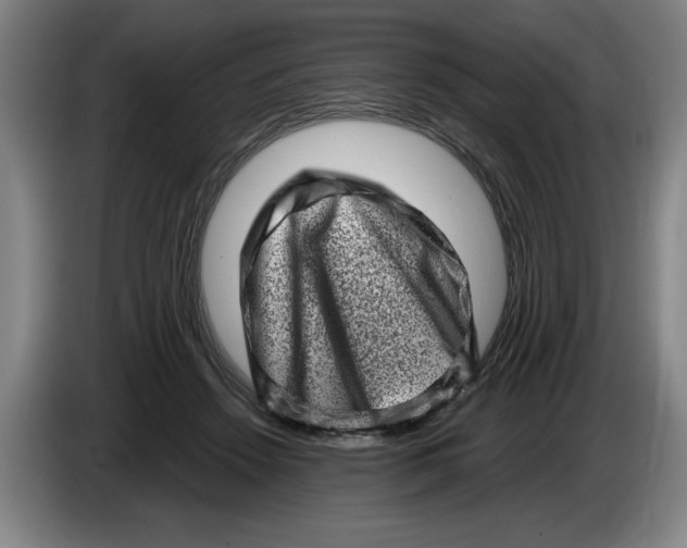 X0000086270456200704191928