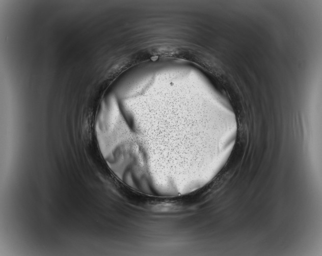 X0000086270460200704191928