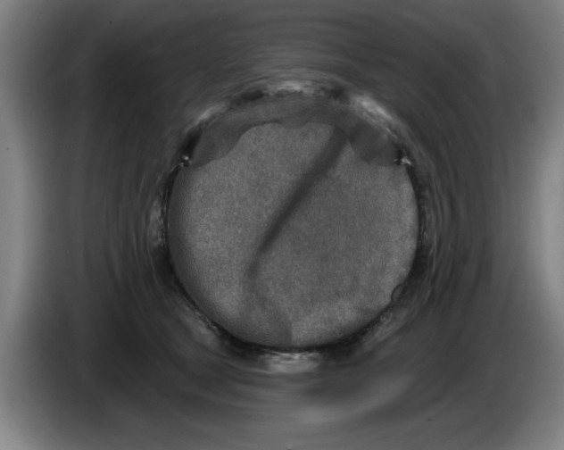 X0000086270465200704191928