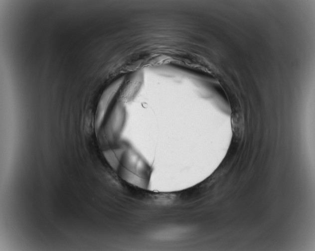 X0000086270474200704191928