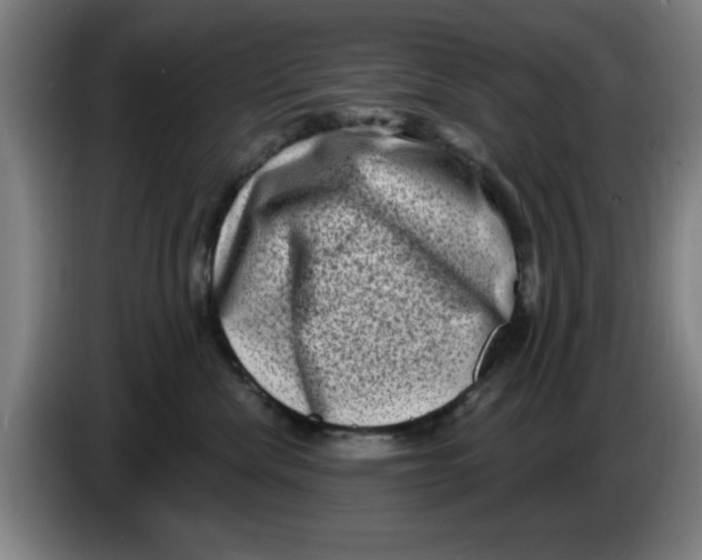 X0000086270476200704191929