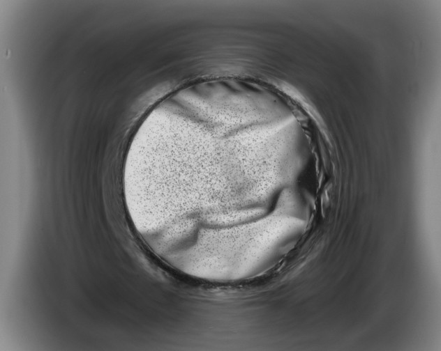 X0000086270481200704191928