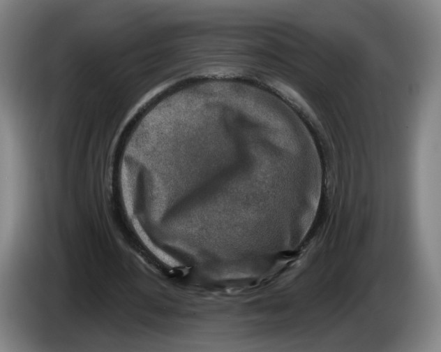 X0000086270484200704191928