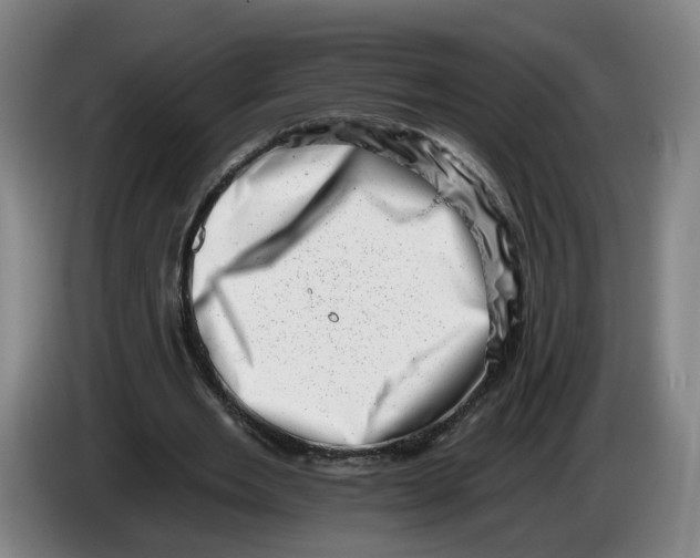 X0000086270485200704191928