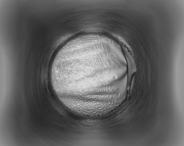 X0000086270487200704191928