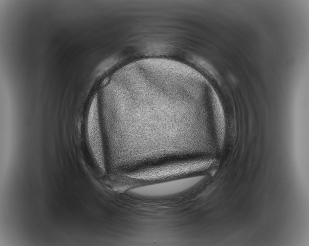 X0000086270491200704191928