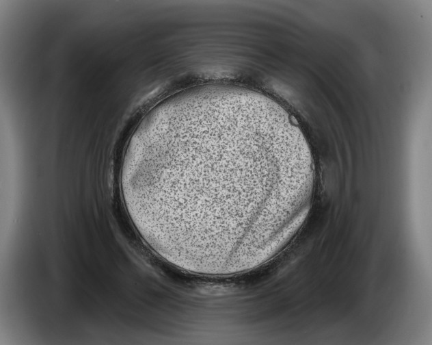 X0000086270494200704191928