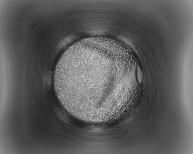 X0000086270495200704191928