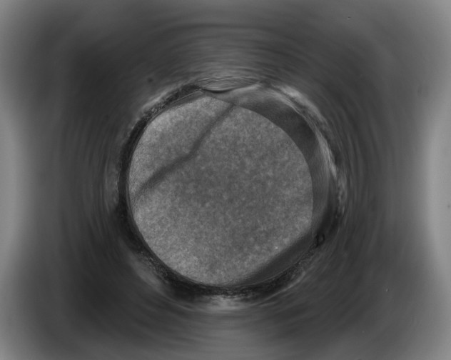 X0000086270496200704191928