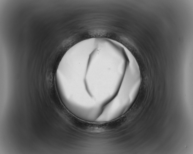 X0000086270498200704191928