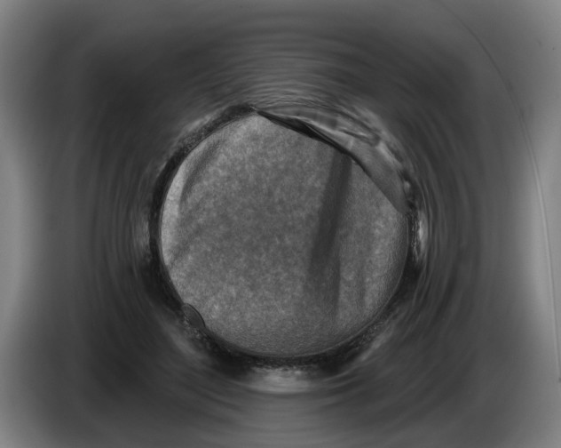 X0000086270500200704191928