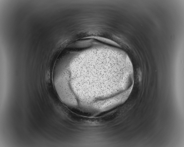 X0000086270502200704191928