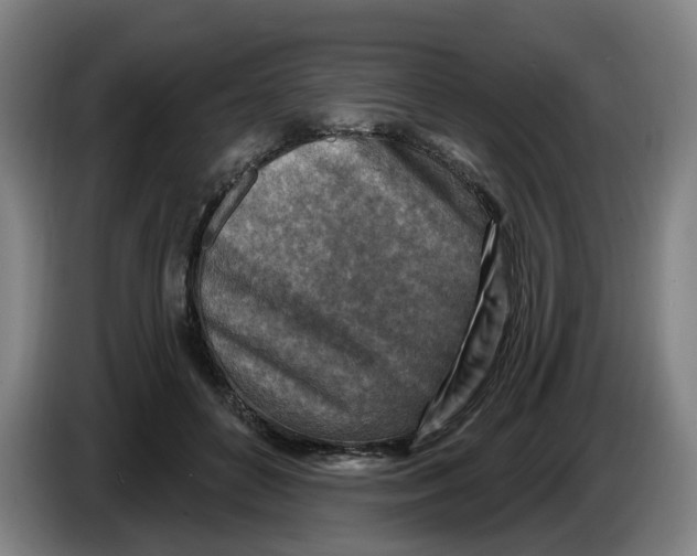 X0000086270504200704191928