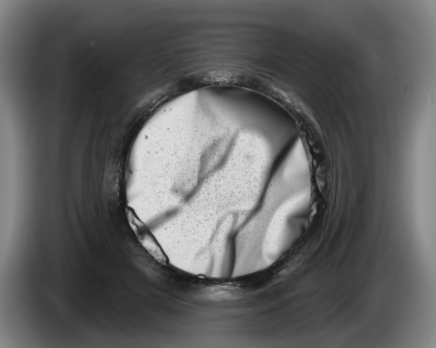 X0000086270505200704191928