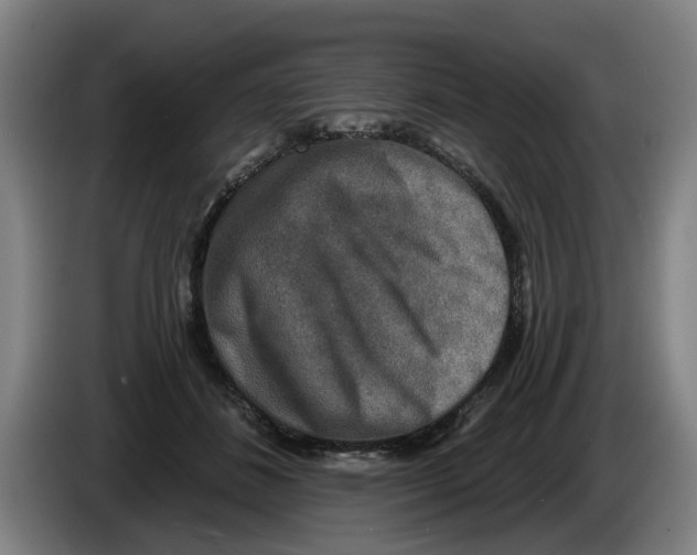 X0000086270508200704191928