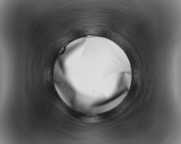 X0000086270514200704191927