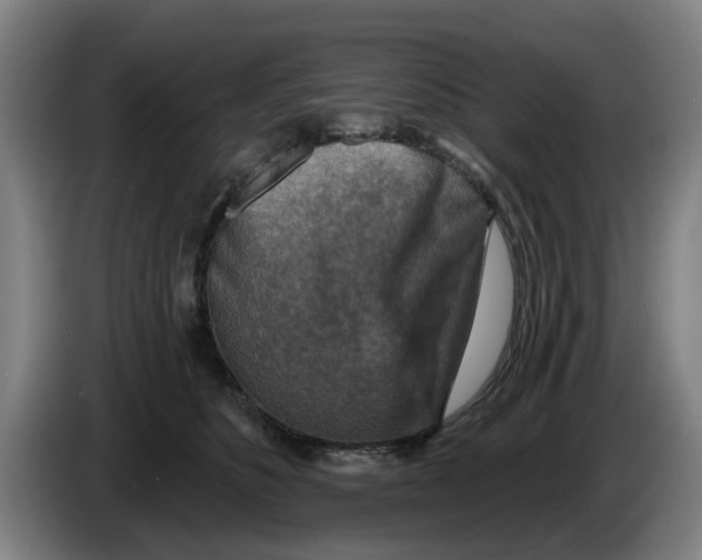 X0000086270516200704191927