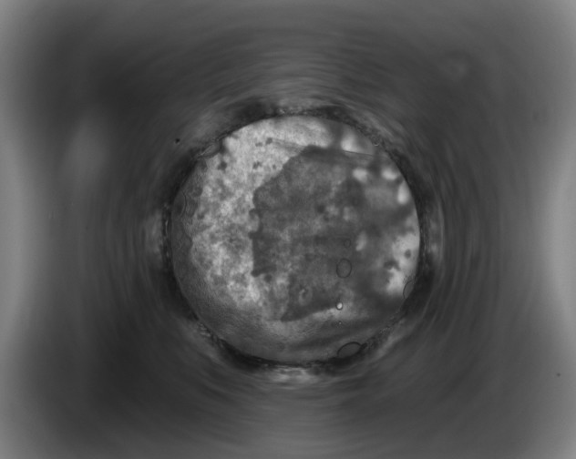 X0000086270519200704191927