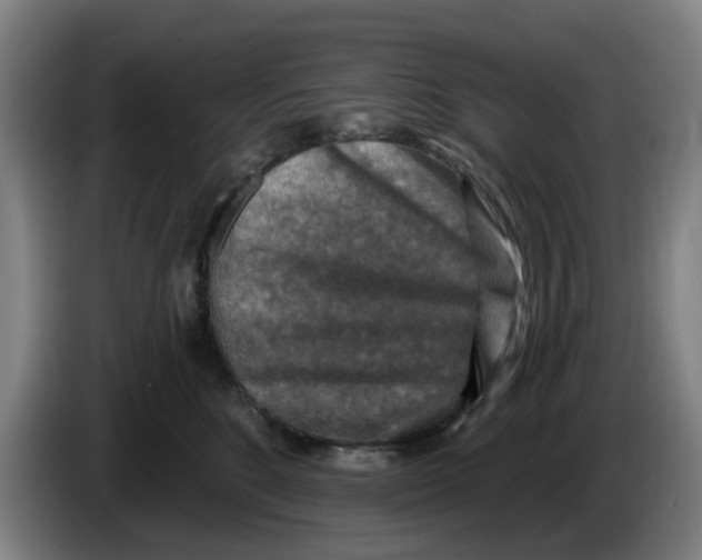 X0000086270520200704191927