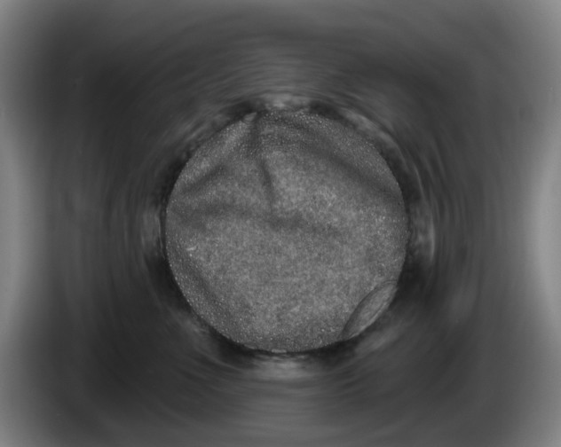 X0000086270523200704191927