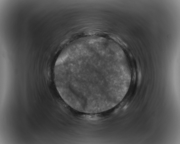 X0000086270524200704191927