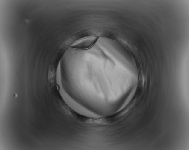 X0000086270526200704191927